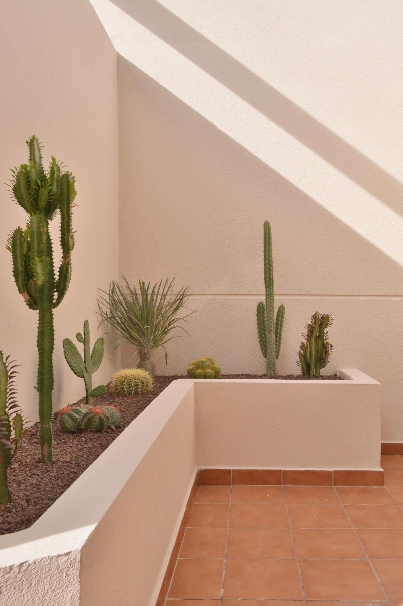 Casa Mareterra - Design Villa With Pool And Terrace Near Corralejo And Lajares Eksteriør bilde